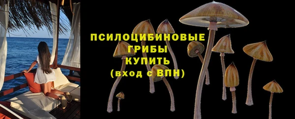 прущая мука Заводоуковск