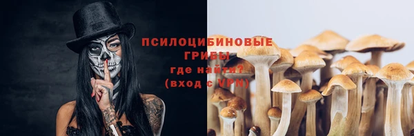 сатива Заволжье