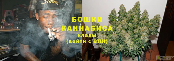 сатива Заволжье