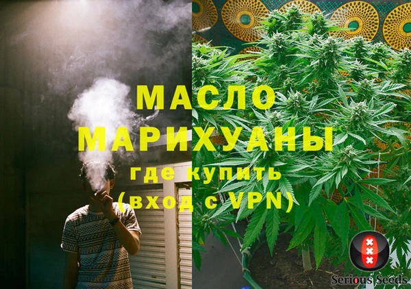 сатива Заволжье