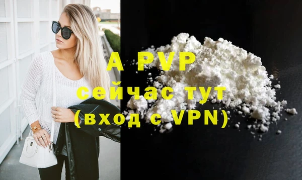 сатива Заволжье