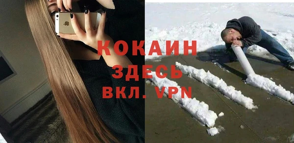 сатива Заволжье