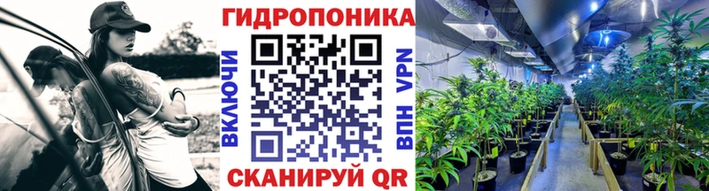 Бошки Шишки планчик  Домодедово 